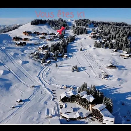 Chaleureux Studio De Montagne Manigod